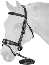 Dressage Bridle and Reins - Equitare Cadence - Removable Flash Noseband