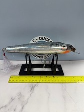 Creek Chub Giant Pikie.