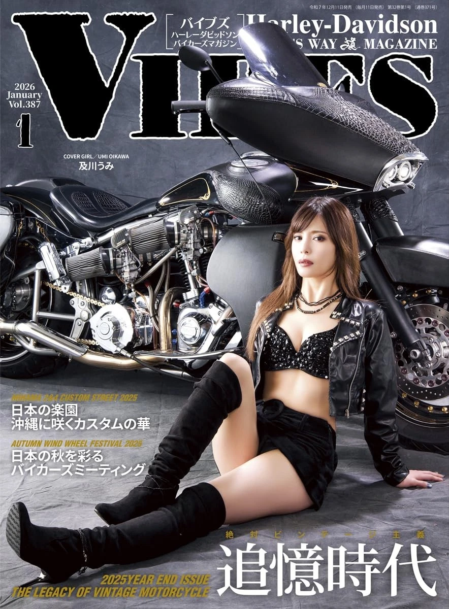 Motorcycle VIBE Magazines in Japanese for sale | eBay