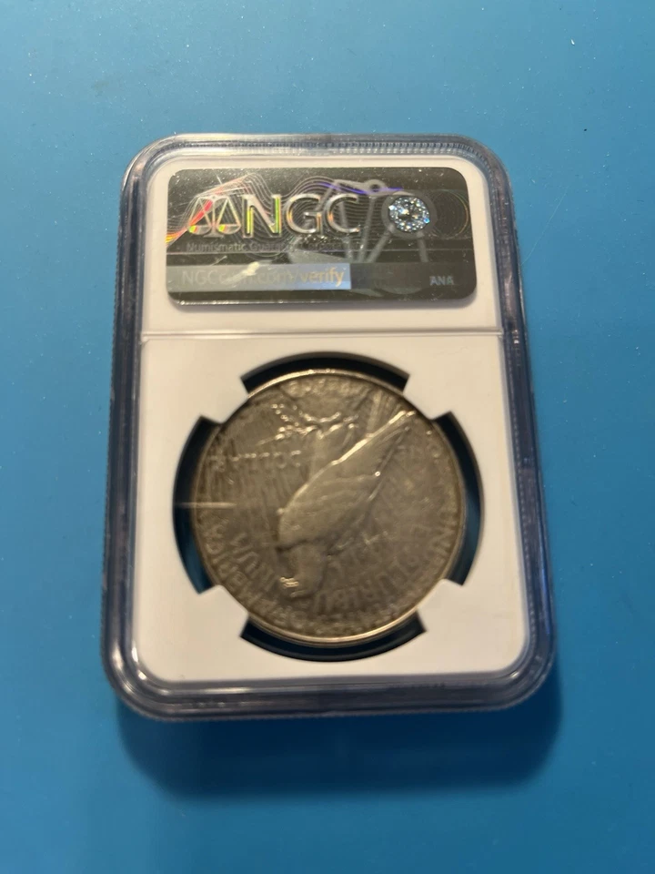 Moneda de 1 dólar de plata de la paz de 1928 NGC XF45 extremadamente fina con fecha clave Foto 3 de 4