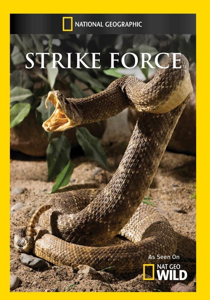 Strike Force (DVD)
