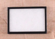 Collector's Display Case: 8 x 12 x 3/4" (Riker Type) - Package of 1