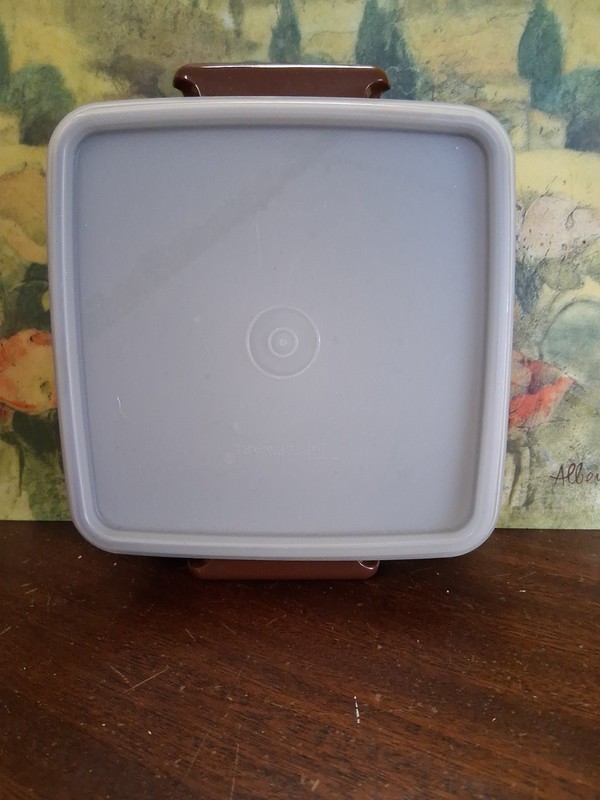 Tupperware Square Sandwich Container With Lid #1362-20