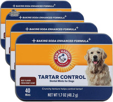 Arm Hammer Dental Mints Beef Flavor Dog Treats 40Ct 4 Pack