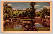 Rochester New York~Willow Pond @ East Avenue~Linen Postcard
