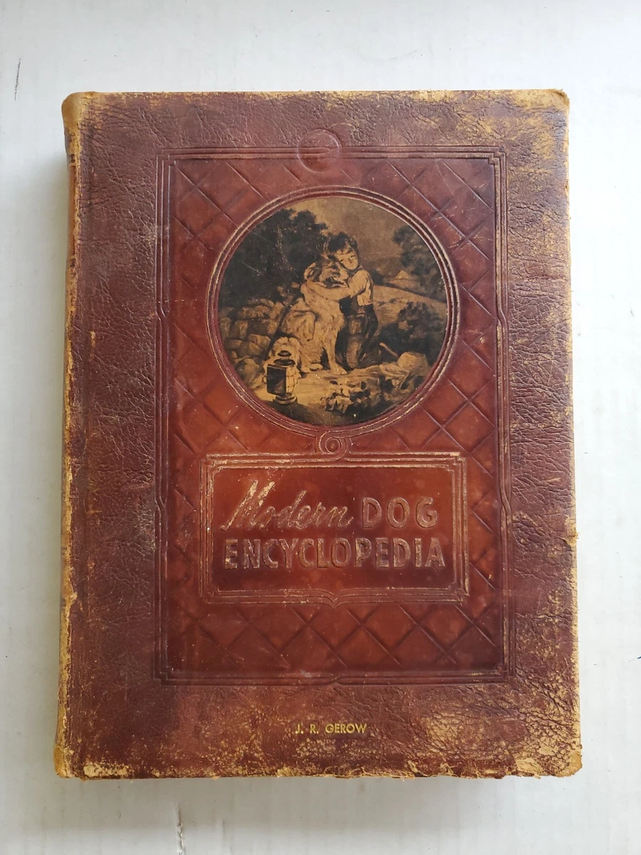 Collector's Edition Encyclopedias Antiquarian & Collectible Books