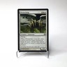MTG Flickerwisp Eventide 1993-2008 Magic: The Gathering LP