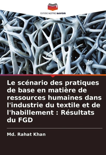 Le ScéNario Des Pratiques De Base En MatièRe De Ressources Humaines Dans...-image