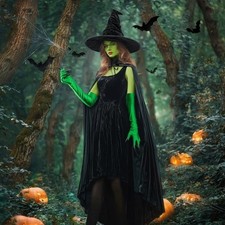 NWT Wizard of Oz Wicked Witch 5 pc cosplay costume set one size adult