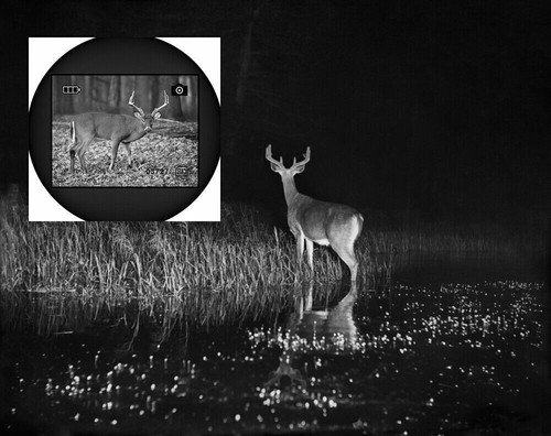 Hunting HD Night Vision Monocular Infrared 850nm Digital 5x Optical Zoom Camera - Picture 9 of 16