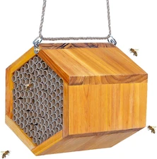 Mason Bee House - Handmade Natural Wooden Bee Hive Coated with Wax for Water-Pro