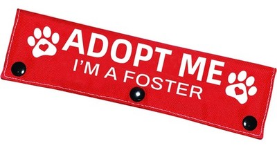 Adopt Me Foster Dog Leash Sleeve Funny Red Alert Wrap Hanging ID Patch