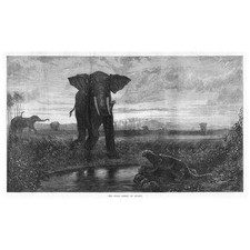 ALEXANDRE-GABRIEL DECAMPS The Indian Desert; Elephant & Leopard - Old Print 1871