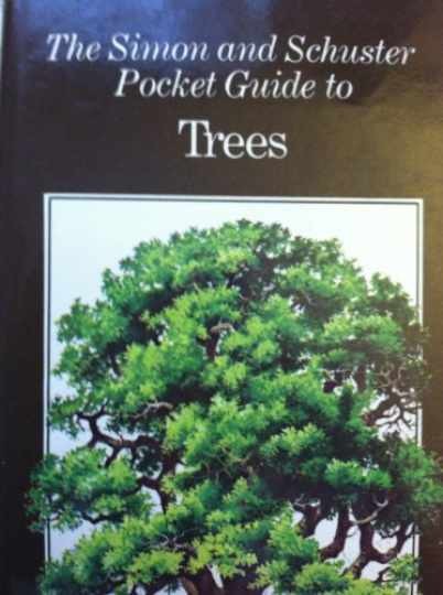 The Simon and Schuster Pocket Guide - Hardcover, by Rushforth Keith - Very Good