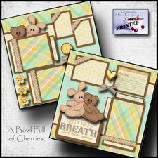 BABY BOY OR GIRL  PRINTED 2 premade scrapbook pages paper piecing layout CHERRY