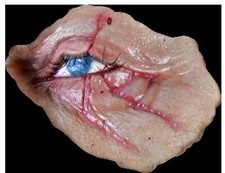 Halloween 2018 Michael Myers Dead Eye Appliance
