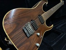 Ibanez RG721RW Premium Chitarra elettrica 6 corde