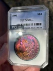 1890 MS65+ Morgan Silver Dollar Green Holder PCI Plum Blue Gold Toned!