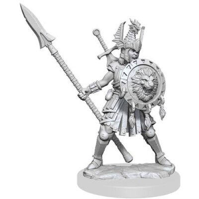 D&D Frameworks - Human Fighter (1) Miniature Wizkids