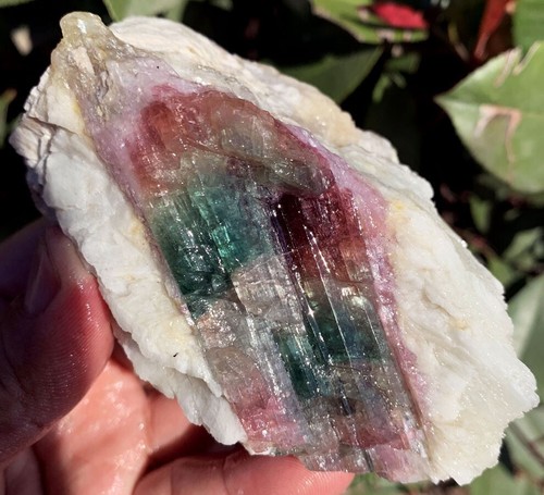 Muestra de piedra áspera cristal turmalina color sandía natural 310 g ip1633 - Imagen 4 de 16