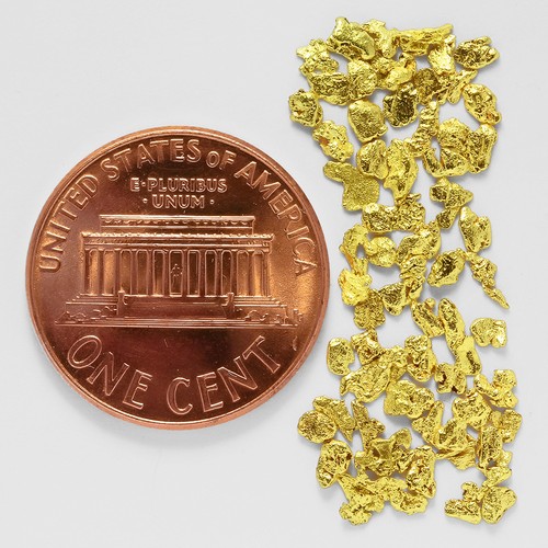 1,3136 Gramm Alaska natürliche Goldnuggets --- (#79887-14) - Alaska Goldnuggets