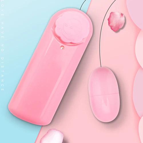 Vibrating Women Panties Massager Wireless Multi-Function Waterproof Panties Gift - Picture 28 of 28