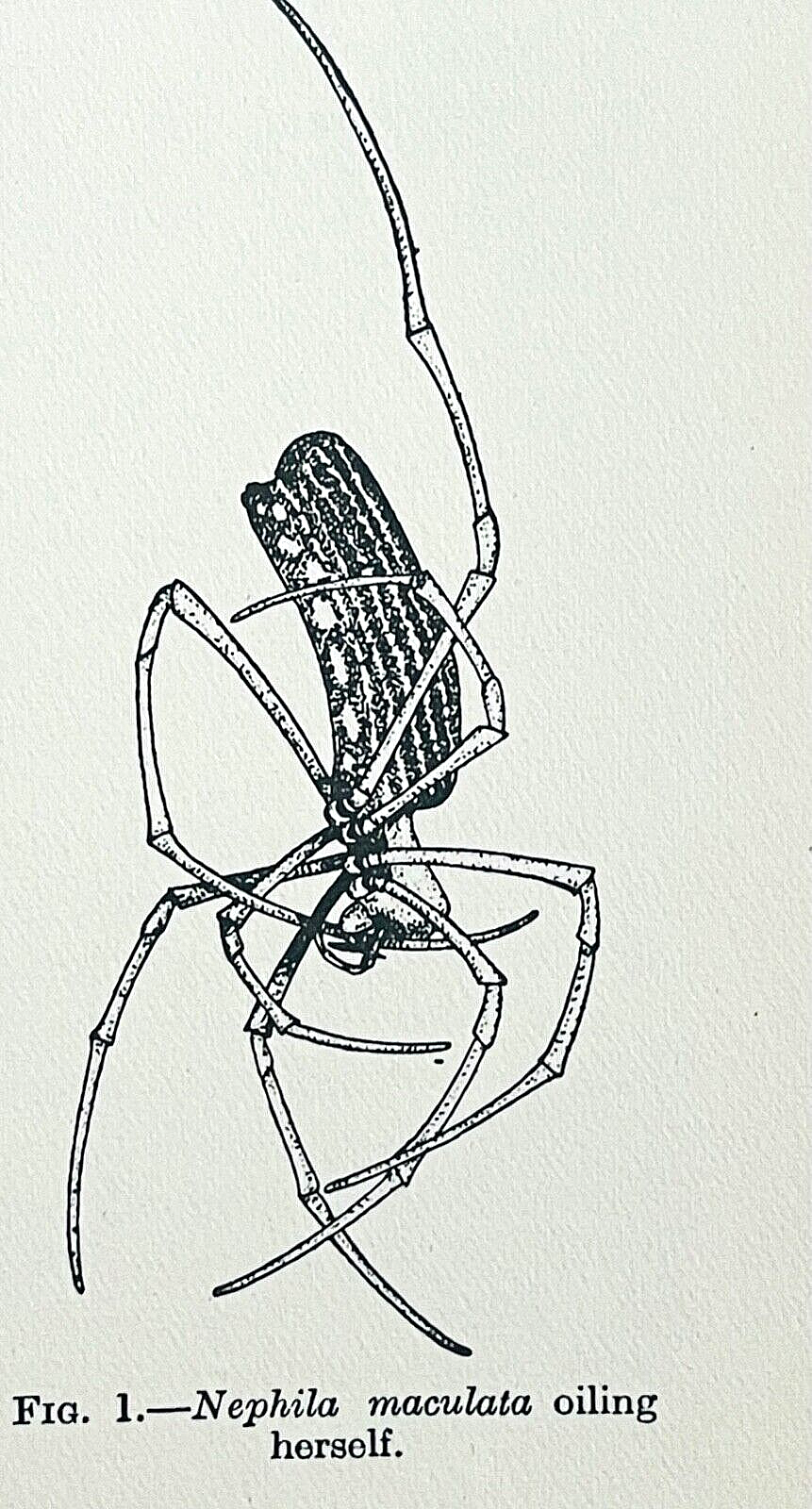 Picture 15 of 24