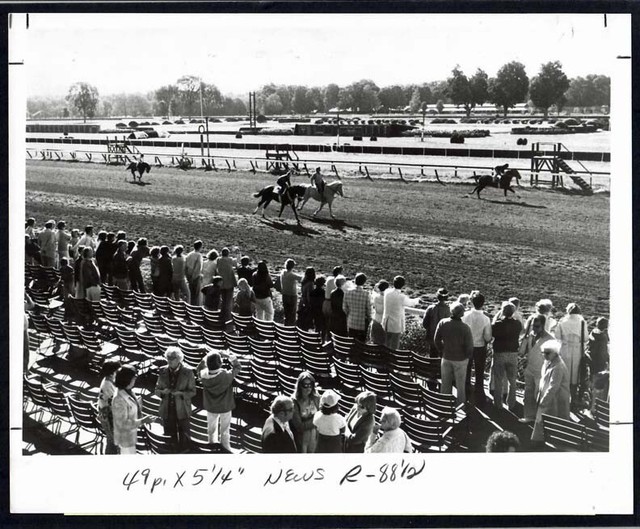 1978 Belmont Stakes Chart