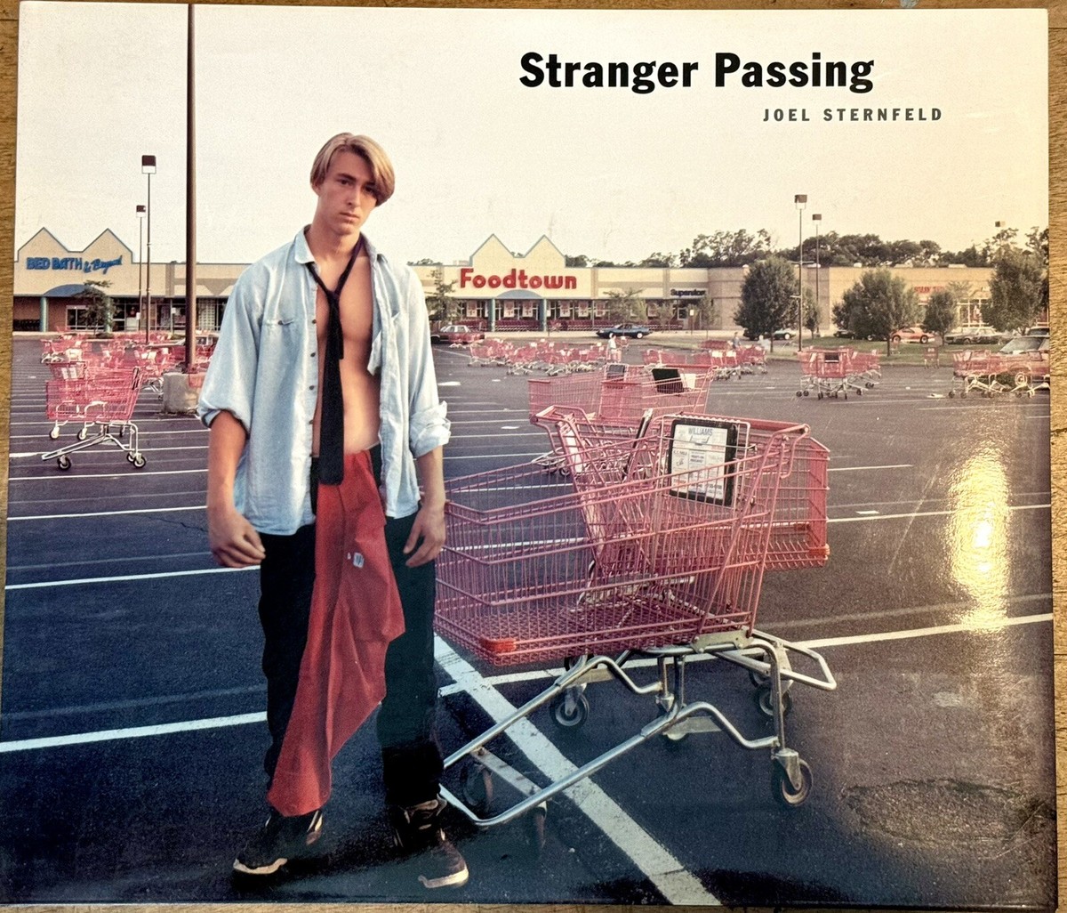 Joel Sternfeld Stranger Passing 大型本