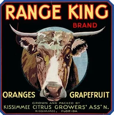 Kissimmee Florida Range King Steer Oranges Orange Citrus Fruit Crate Label Print