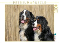 Calvendo Puzzle Bernese Mountain Dogs | 1000 Pieces, Finished Size 25.2 × 18.9 I