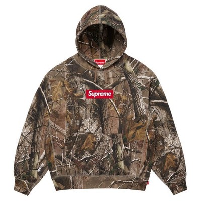 Supreme Box Logo Hooded Sweatshirt FW25 | eBay