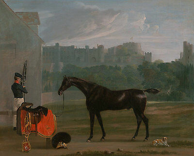 Outside the Guard House at Windsor Edm. Bristow Wache Pferde England B A3 01474