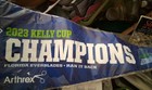 Seal New Big Florida Everblades Hockey 2023 CHAMPION Pennant Swampee Banner ECHL — photo 3