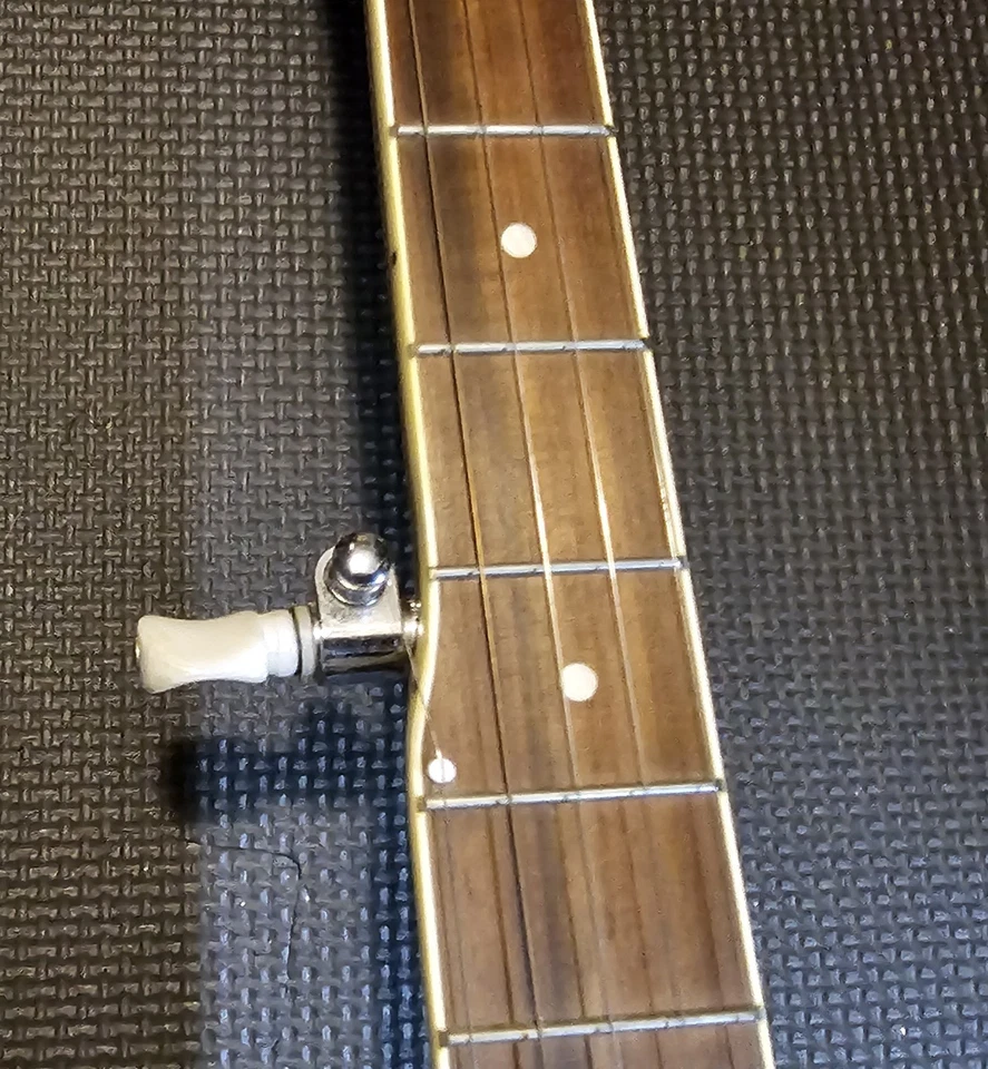 Banjo para diestros Rogue de 5 cuerdas - Remo Weatherking Banjo solo cabeza  Foto 2 de 4