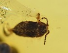 第 16/37 張圖片