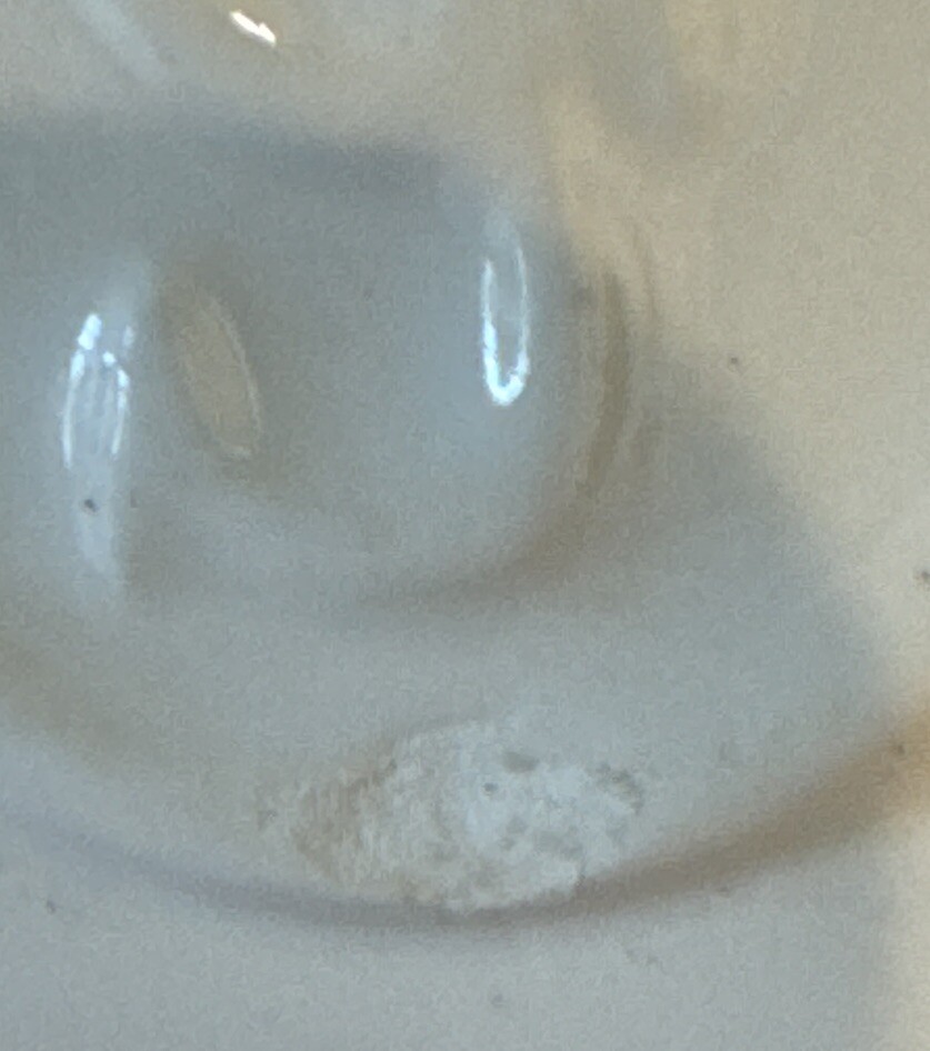 Picture 10 of 10