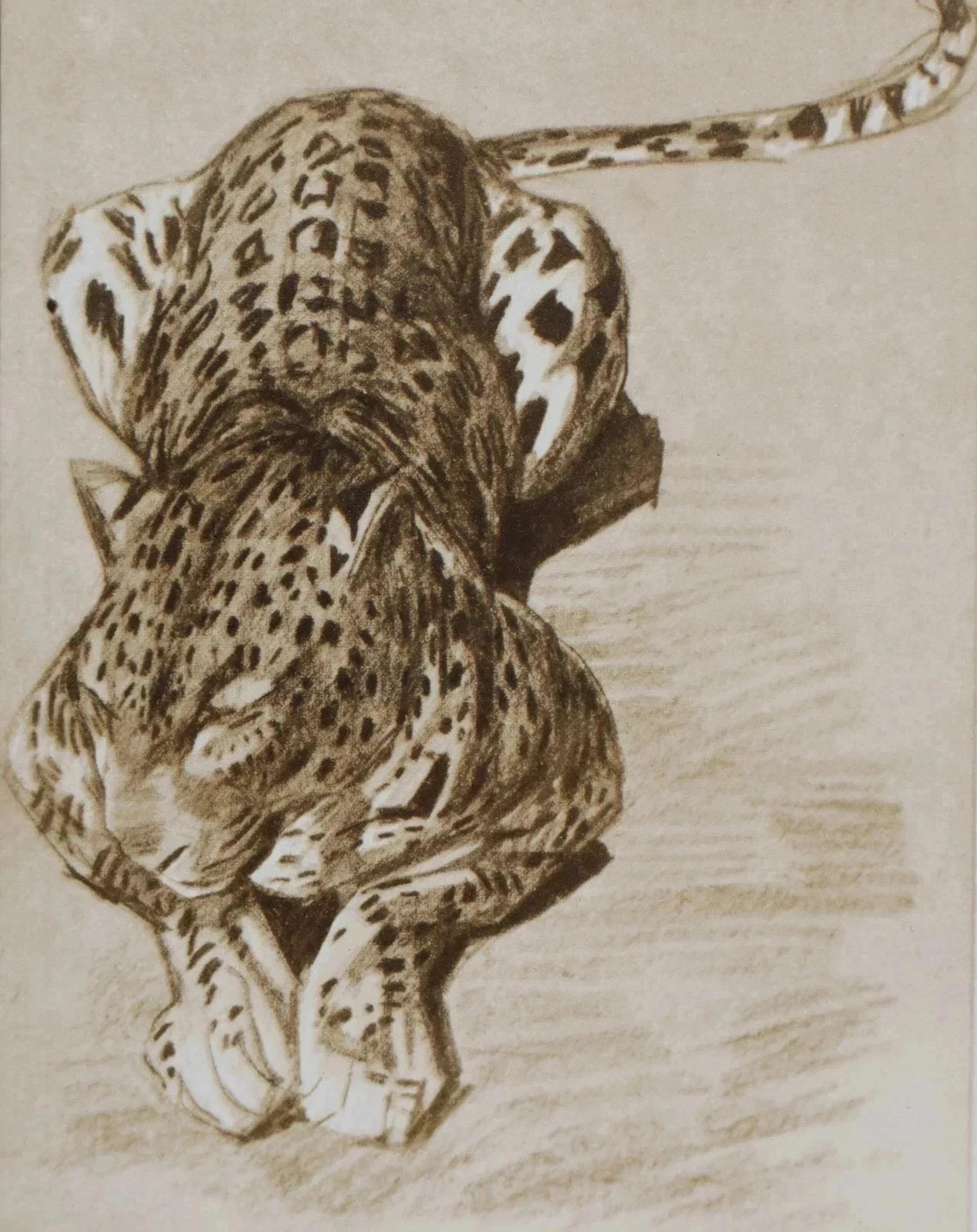 Mathurin Meheut: The Panther, Signed Lithograph, 1911 thumbnail 10