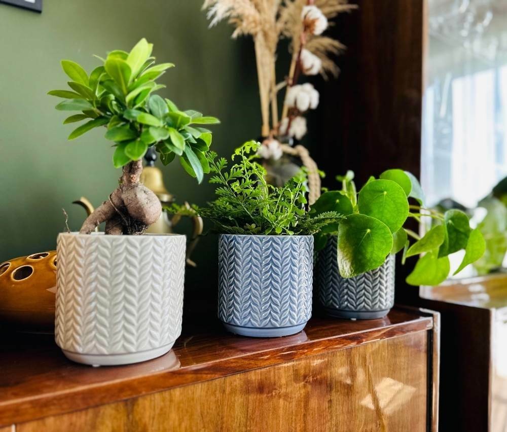 Ceramic Cylinder Flower Pot Home Decor Modern Plant Holder Pots Indoor