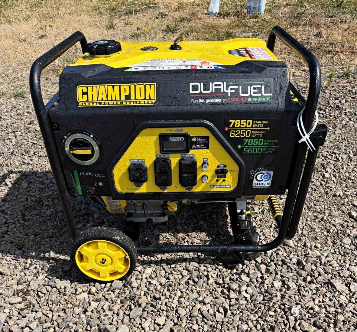 Champion Dual Fuel Power Generator Generators for Sale - eBay