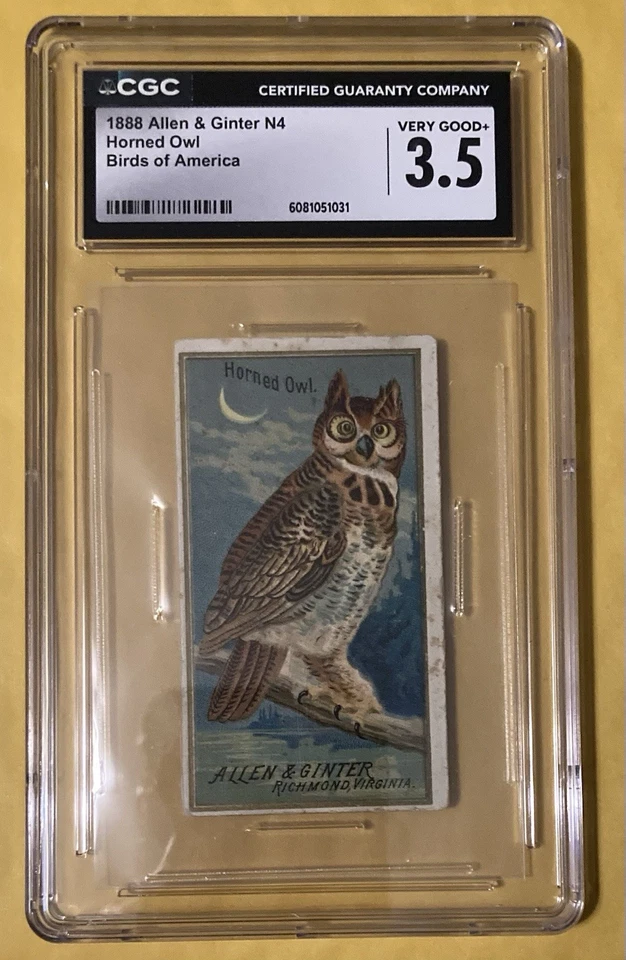 Allen & Ginter N4 Birds Of America 1888 BÚHO CUERNO 🦉 CGC muy bueno + 3,5 Foto 2 de 4