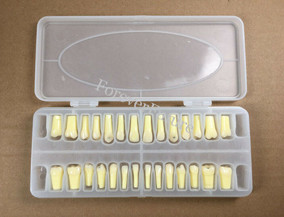 28Size/Set Dental Caries Remove Decayed Teeth Practise Cuspid Model Screws