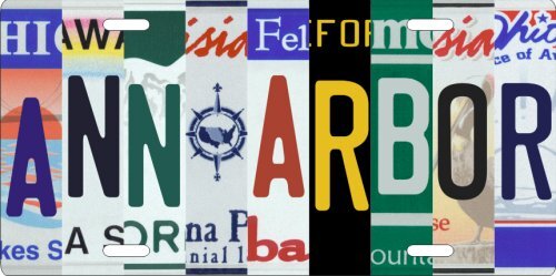 Custom License Plate - Aluminum tag with multiple state letter choices ...