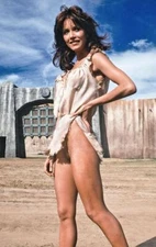 The Beastmaster Movie Photo Print Marc Singer Tanya Roberts 8 x 12 Reproduction