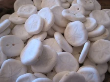 Coastal Decor Sea Cookie (20) , Natural, Nautical, Home/Beach Decor, Sea Cookie