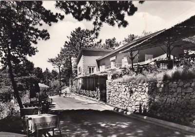 # MONTE FAITO: RESTAURANT OF FLOWERS