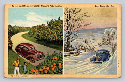#ad Florida Sun vs. Winter Ice Humorous Contrast Curteich Linen Postcard $16.99