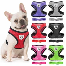 Cat Pet Harness And Leash Set Vest Escape Proof Adjustable Walking