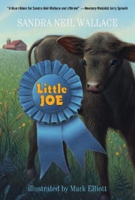 Sandra Neil Wallace Little Joe (Paperback)