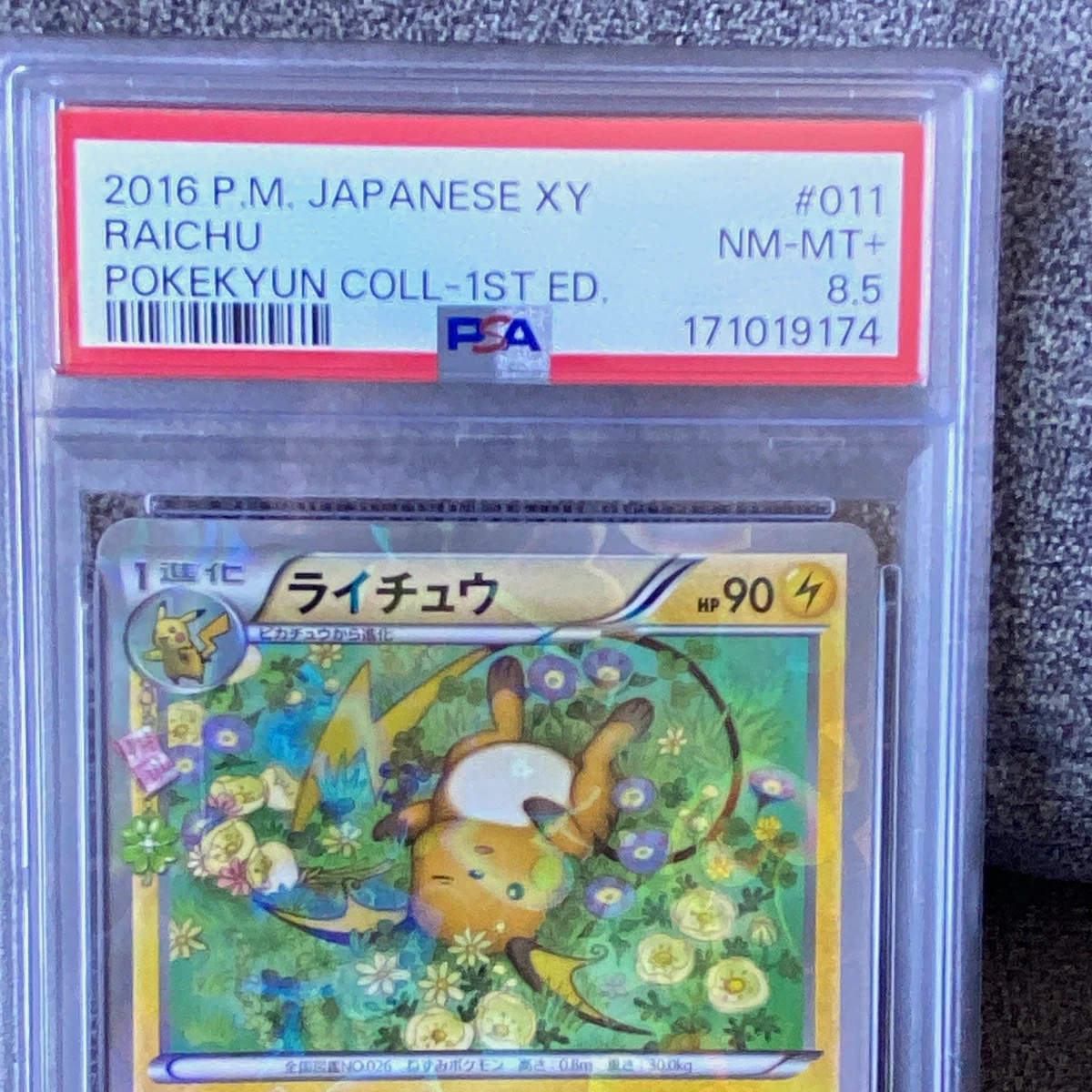 Raichu Pokémon TCG Professional Sports Authenticator (PSA